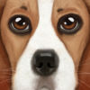 Ultimate Dog Simulator App Icon