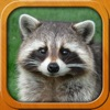 Animals for Kids full game App Icon