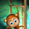 Crazy Monkey App Icon
