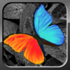 PhotoWizard-Photo Editor Lite App Icon