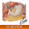 Netters Surgical Anatomy Review PRN App Icon