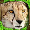 Cheetah Simulator App Icon